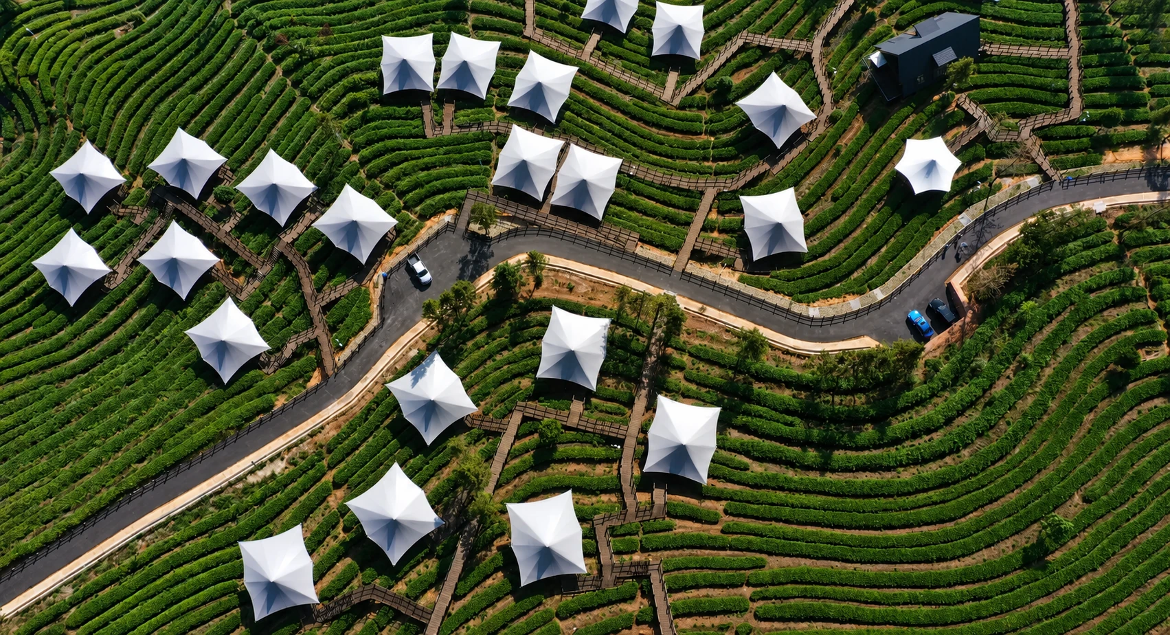 YunMan Resort Hotel among tea fields